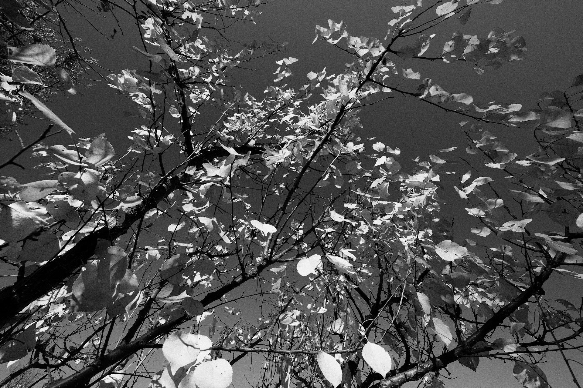 Detaljer från mindfult hem